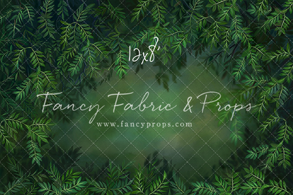 Lush Forest