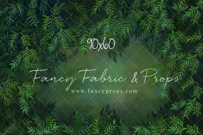 Lush Forest