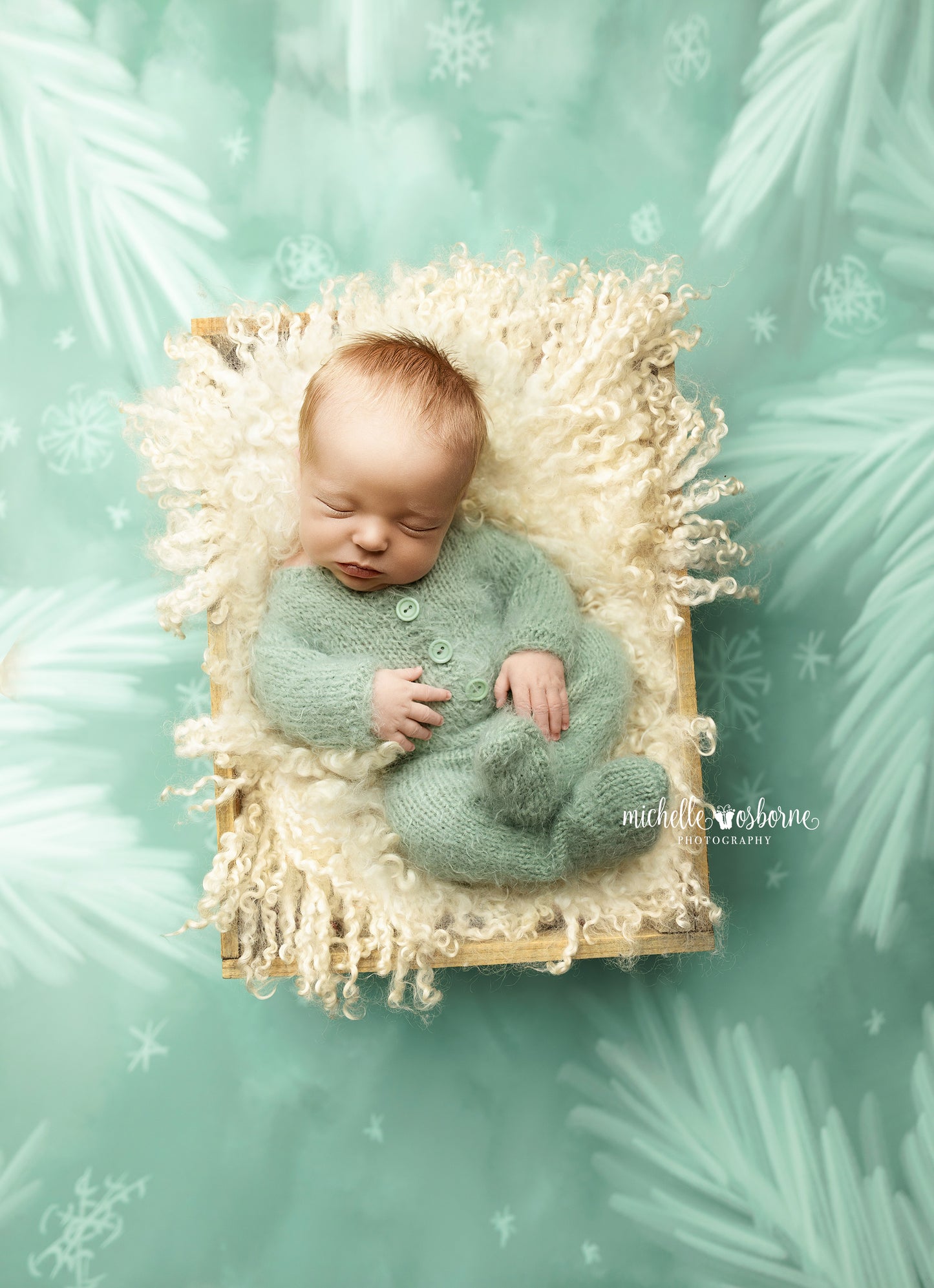 Norfolk Mint - Petite