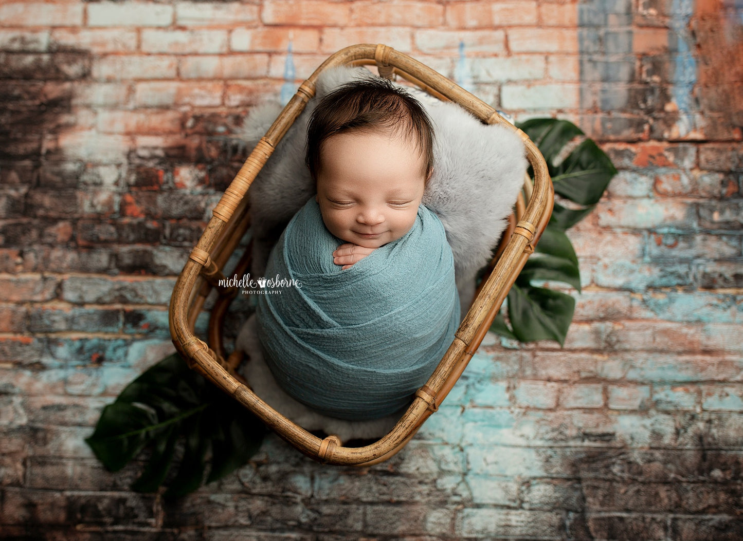 New Orleans Brick Wall - Petite