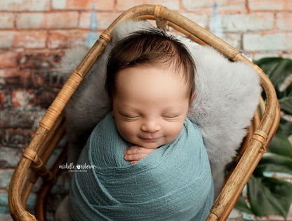 New Orleans Brick Wall - Petite