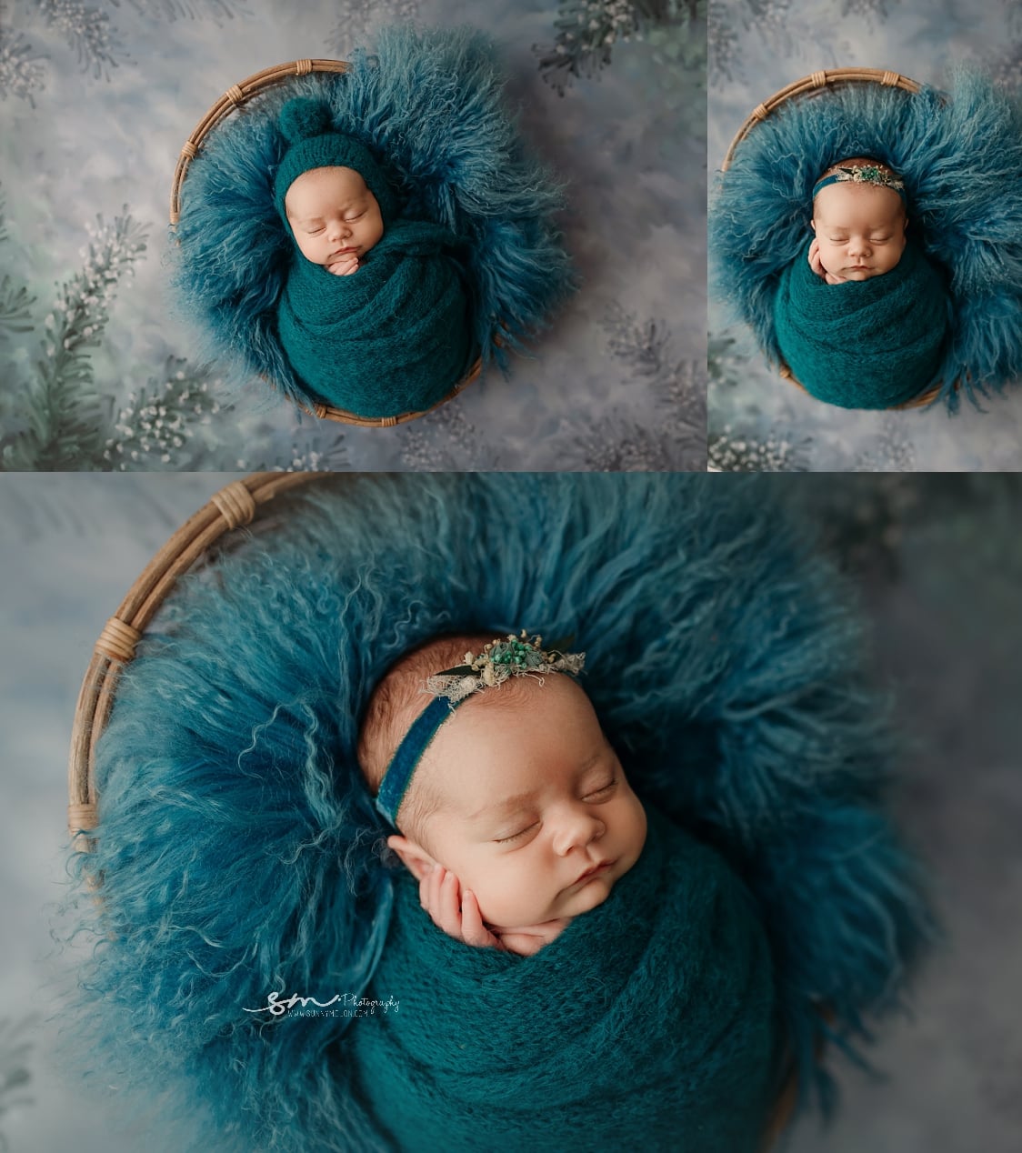 Snowy Spruce - Petite