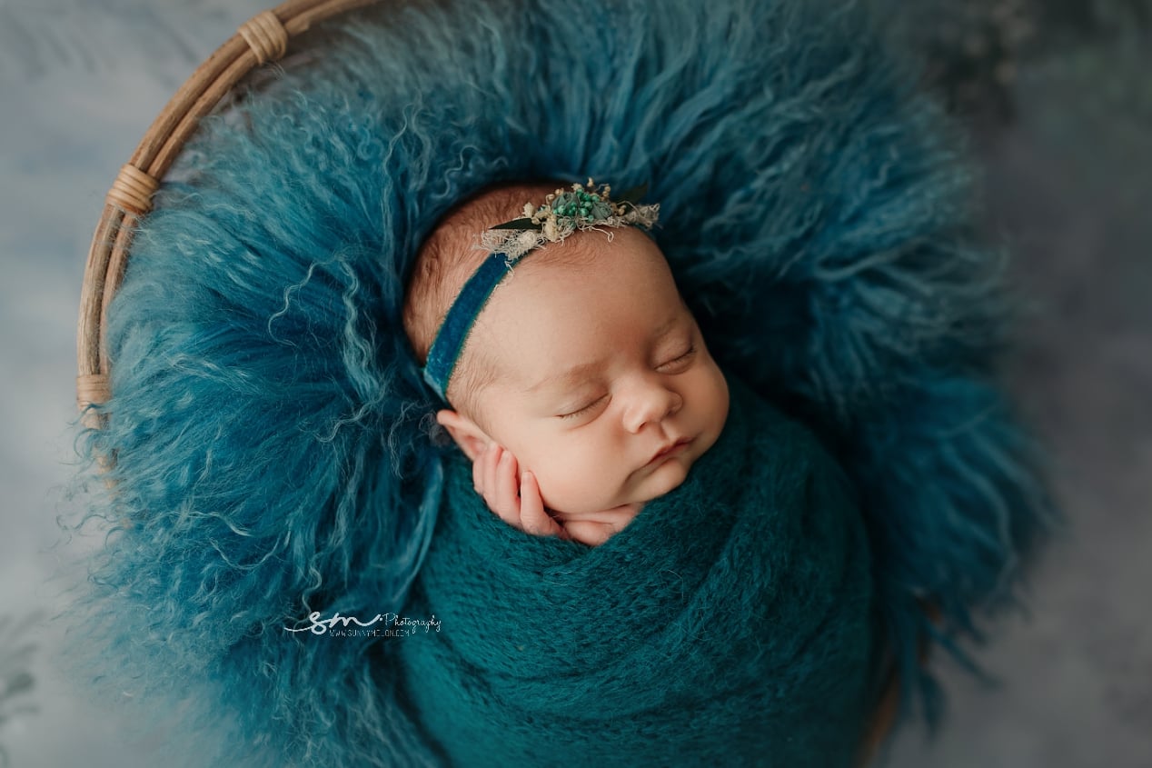 Snowy Spruce - Petite