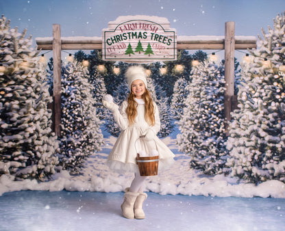 Winter Tree Farm Day Room