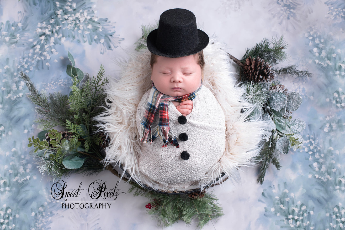 Snowy Spruce - Petite