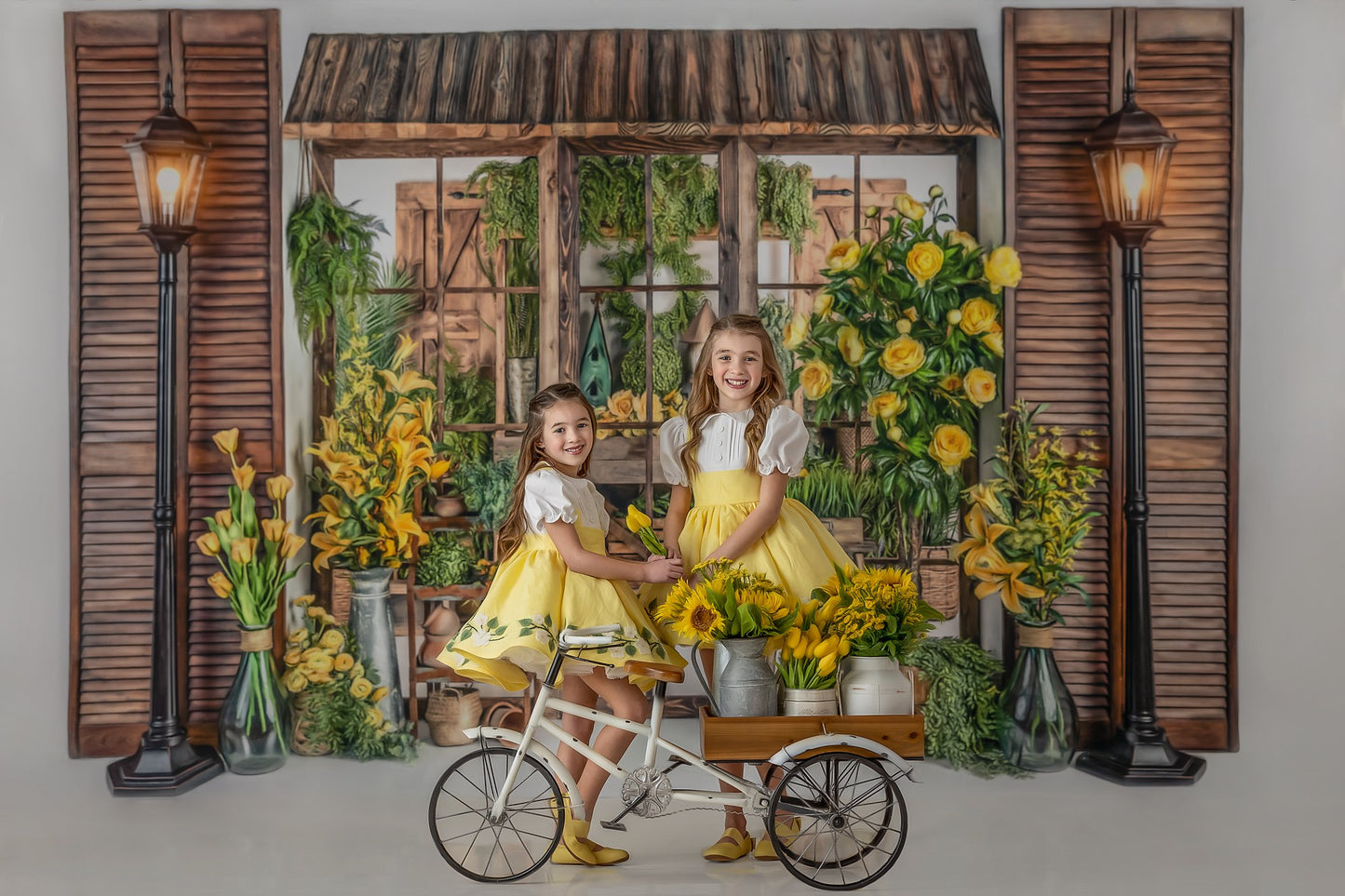 Tranquil Sunshine Shop 2pc Room