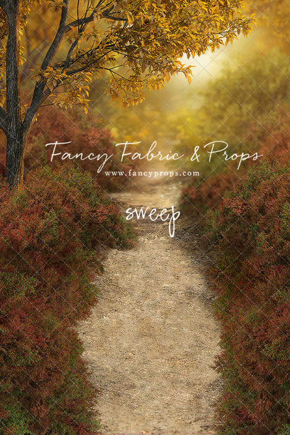 Dreamy Evening Path - With Sweep Option