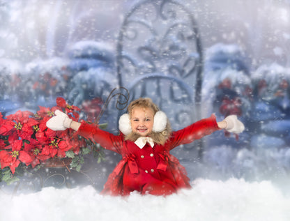 Frostine Winter Gate - with Sweep Option