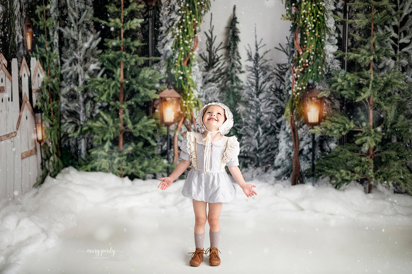 Tree Farm Stroll 2pc Room