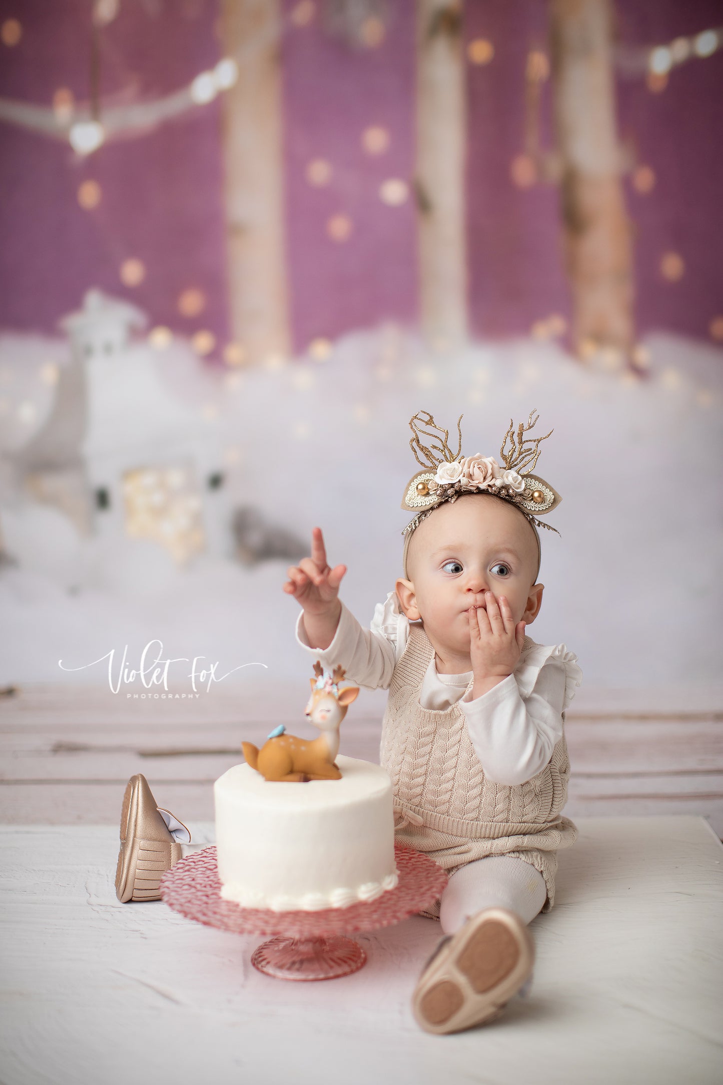 Sugar Plum Fairies