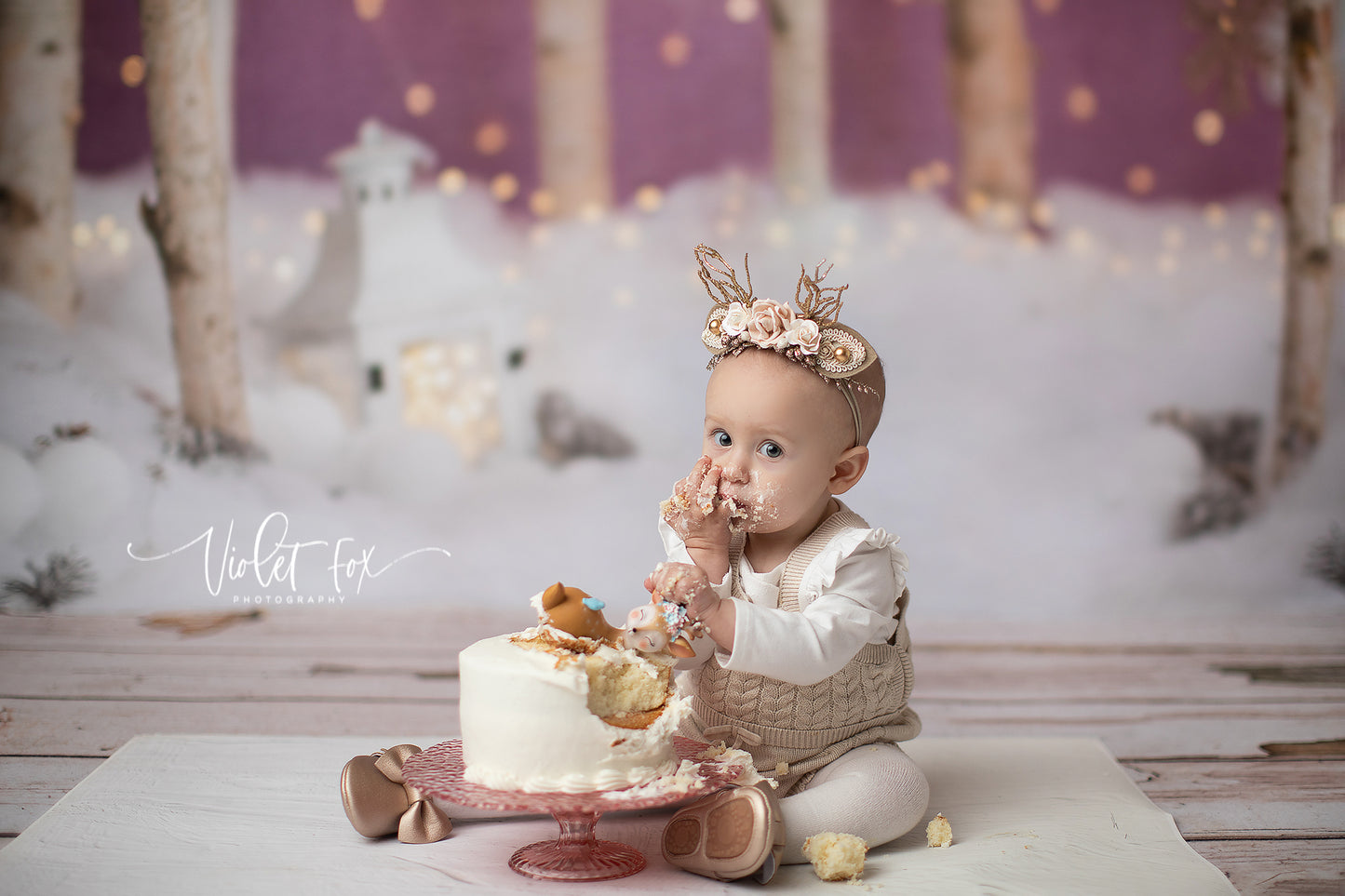 Sugar Plum Fairies