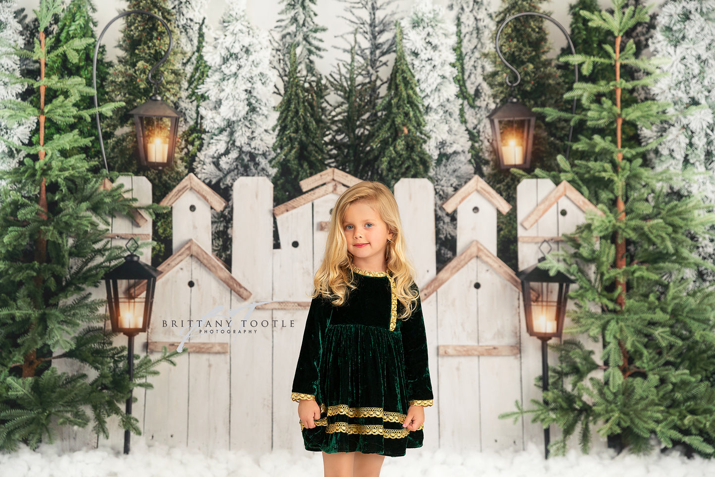 Tree Farm Stroll 2pc Room