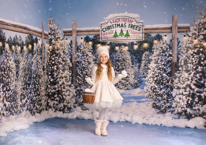 Winter Tree Farm Day Room