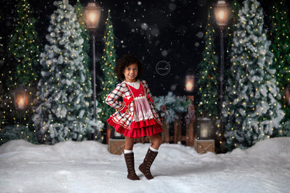 Evening Snowy Holiday Park