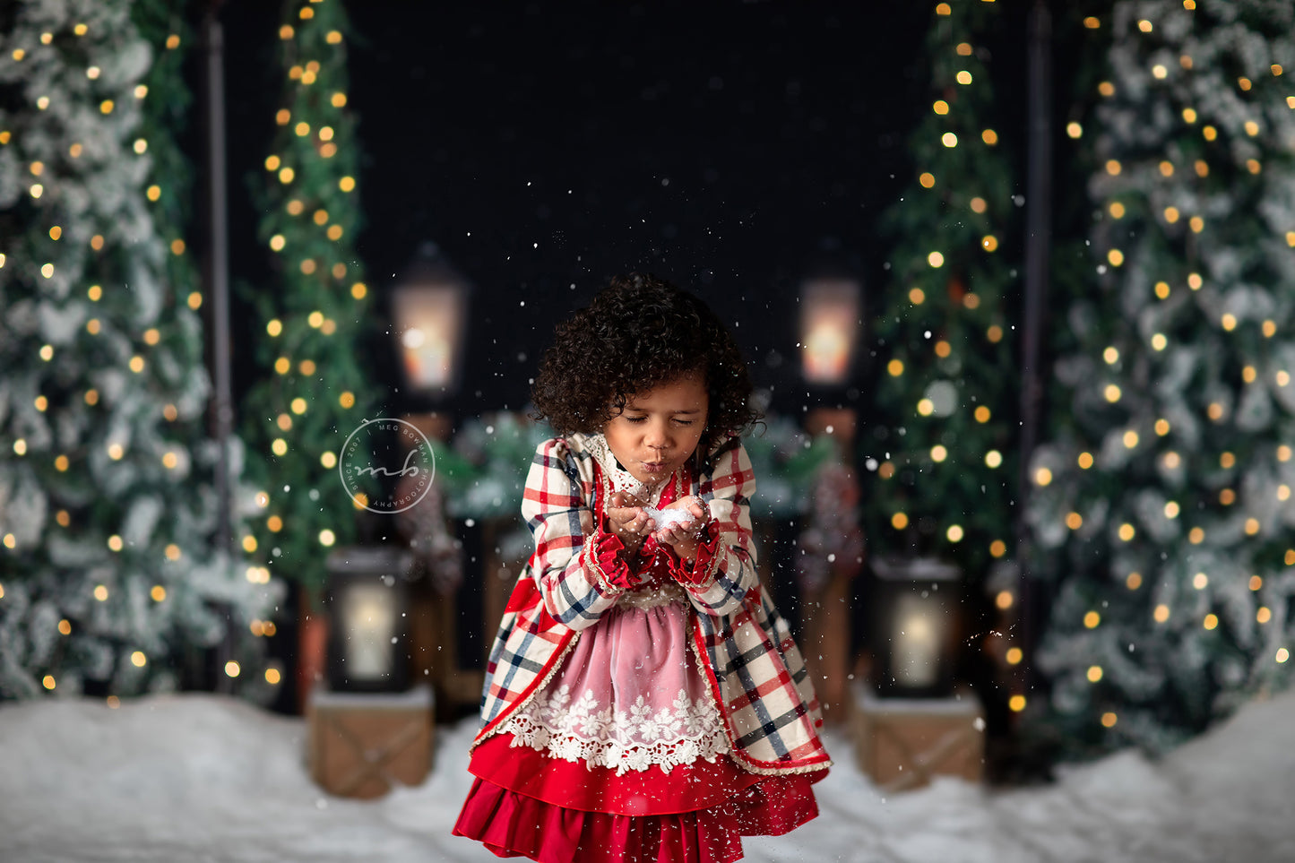 Evening Snowy Holiday Park