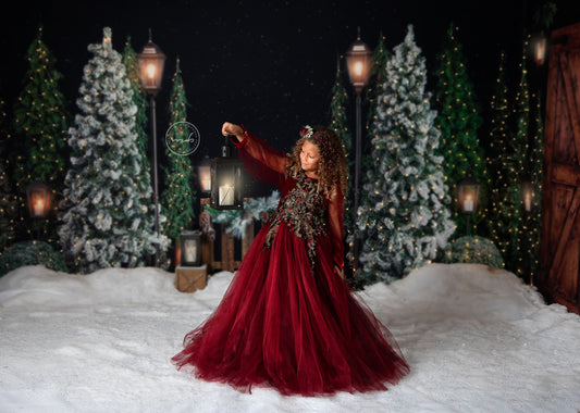 Evening Snowy Holiday Park 2pc Room