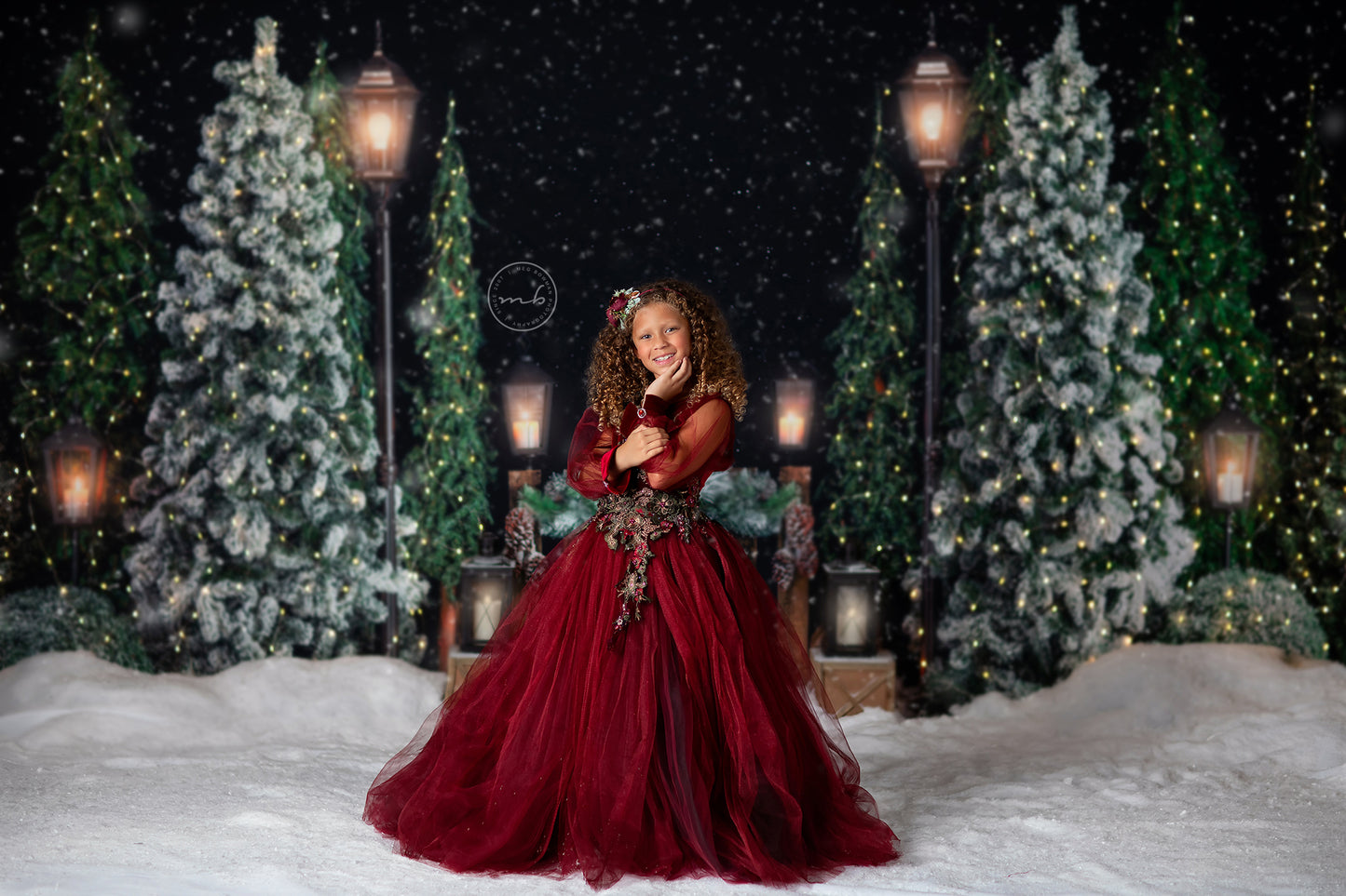 Evening Snowy Holiday Park