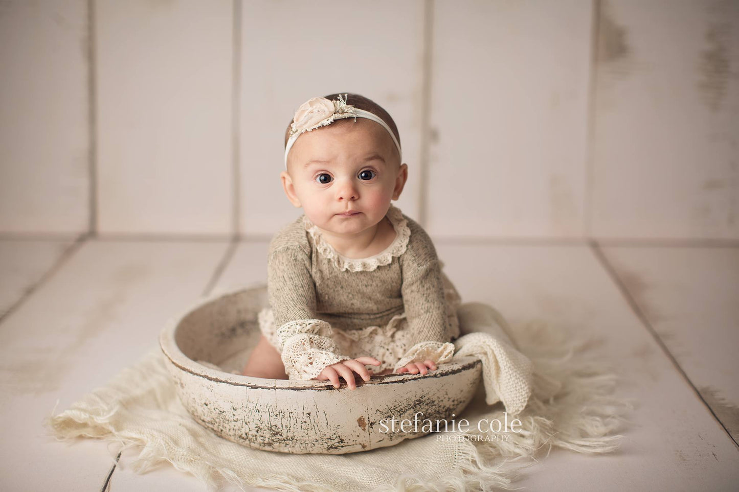 Amanda Cream Barn Wood Planks