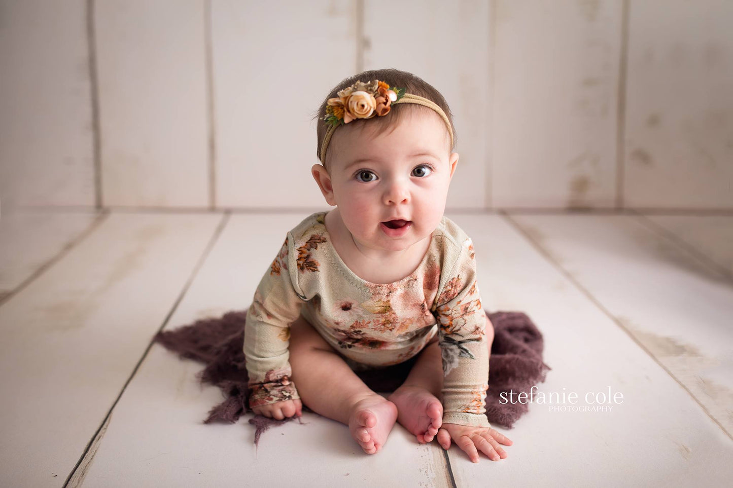 Amanda Cream Barn Wood Planks