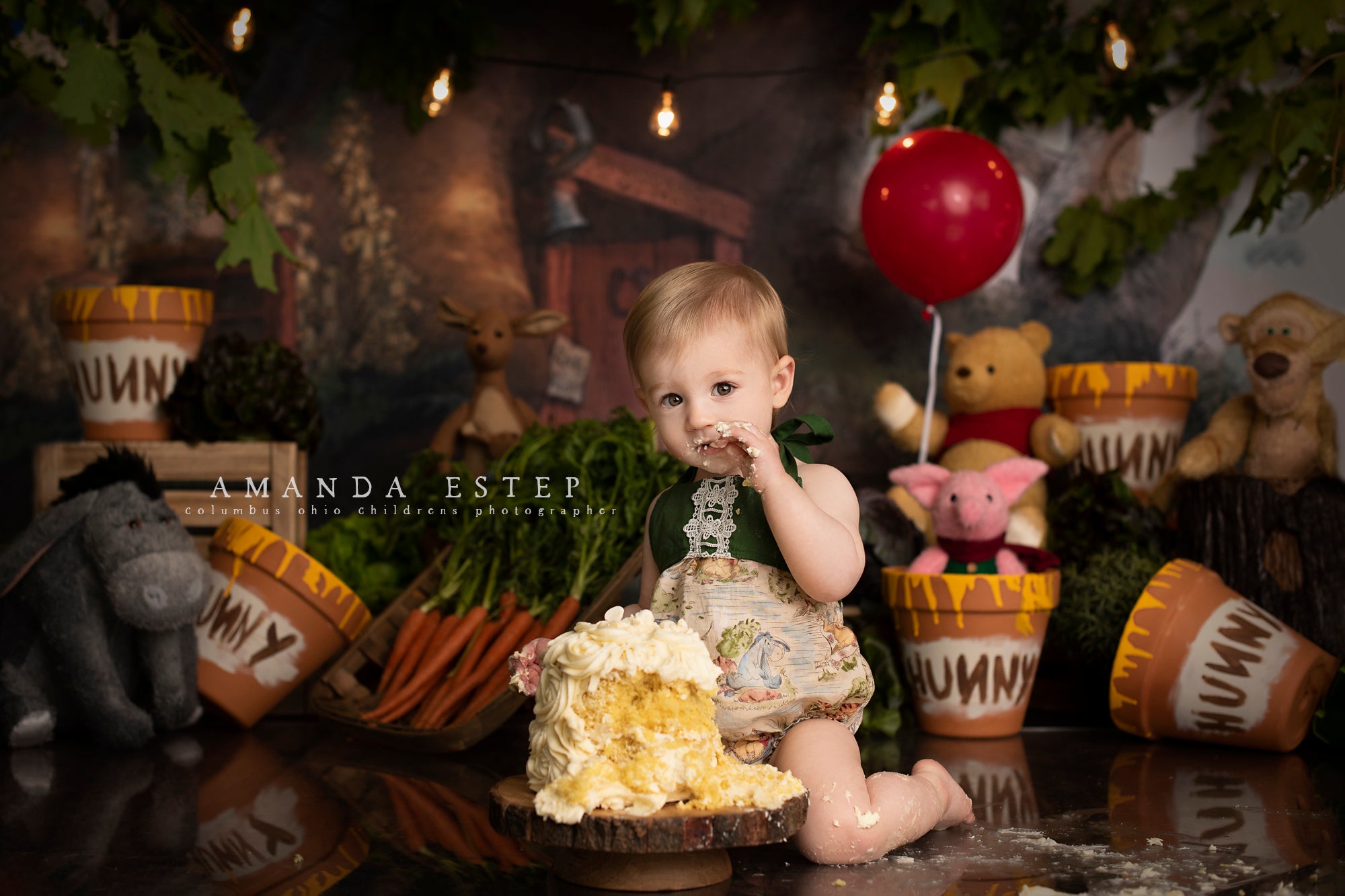 Columbus Ohio Newborn Photographer Amanda Estep Photography