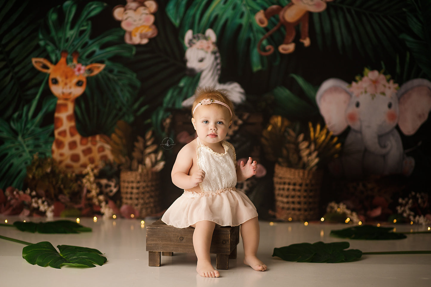 Discover Your Wild Side