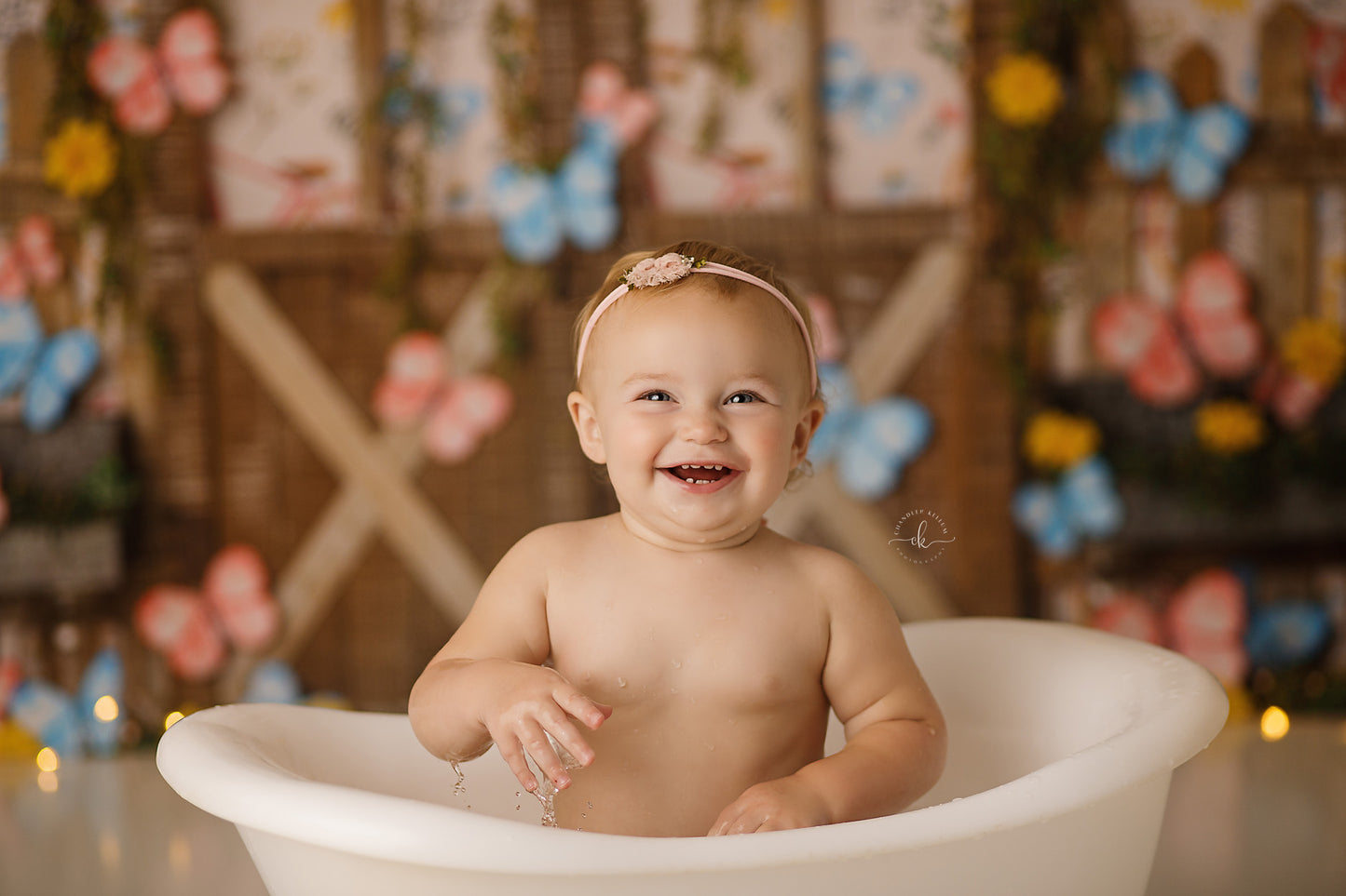 Butterflies & Bicycles