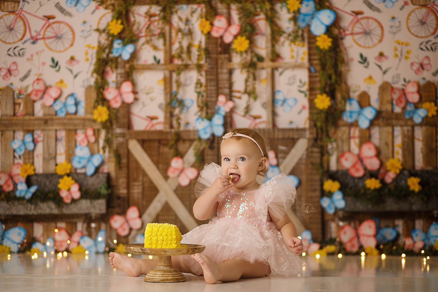 Butterflies & Bicycles