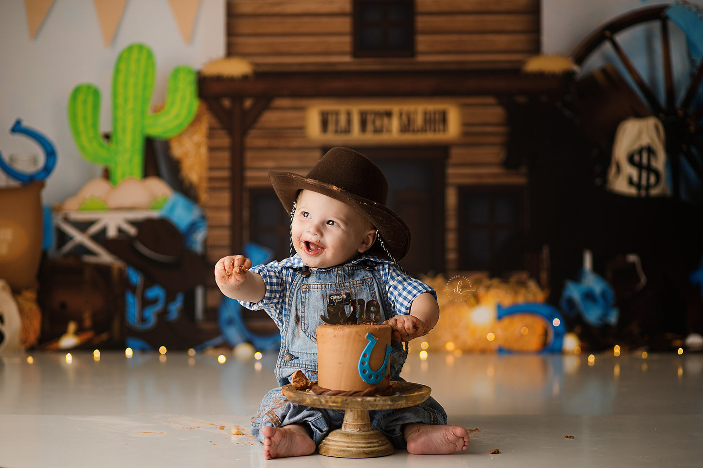 Welcome To The Wild Wild West