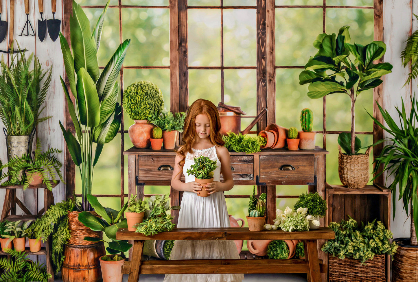 Morning Garden Shed 2pc Room