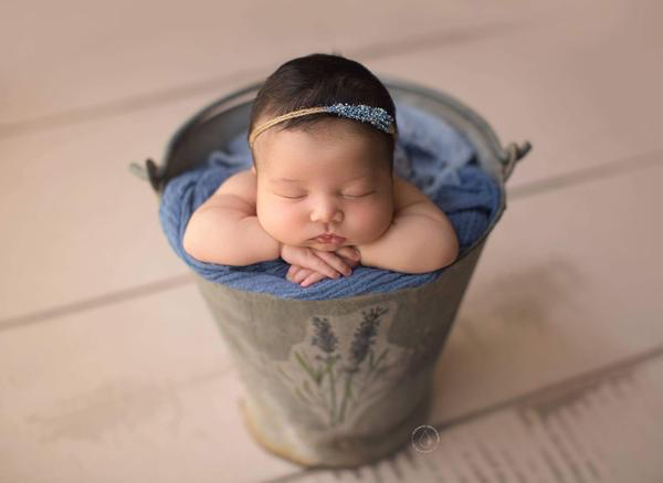 Amanda Cream Barn Wood Planks