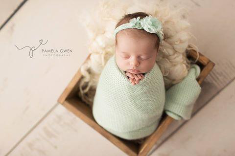 Amanda Cream Barn Wood Planks