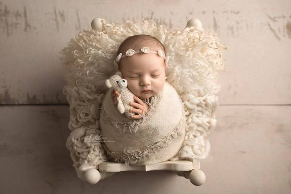 Amanda Cream Barn Wood Planks