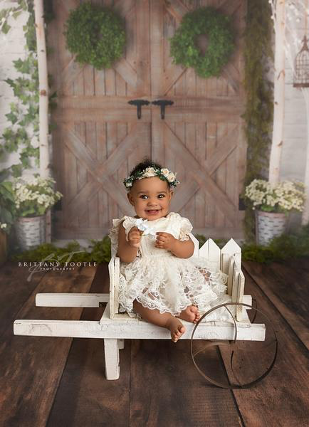 Knox Rustic Wood Planks