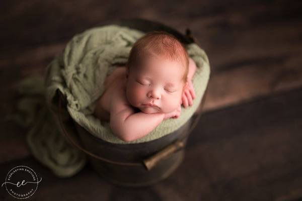 Knox Rustic Wood Planks