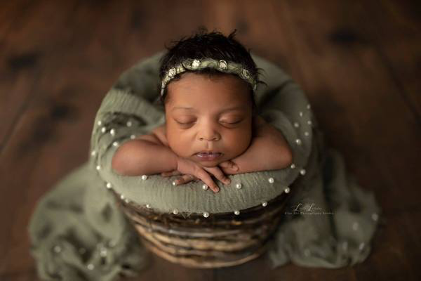 Charlotte Wood Planks