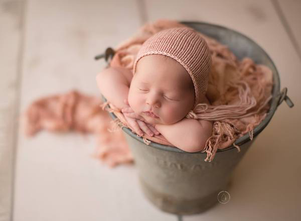 Amanda Cream Barn Wood Planks