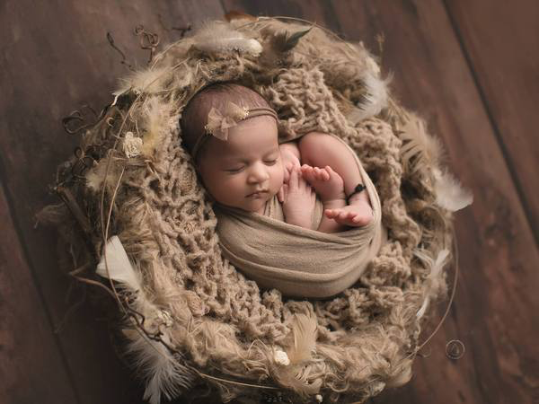 Knox Rustic Wood Planks