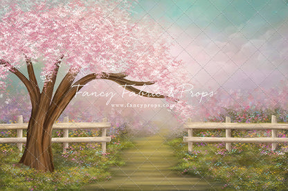 Cherry Blossom Path