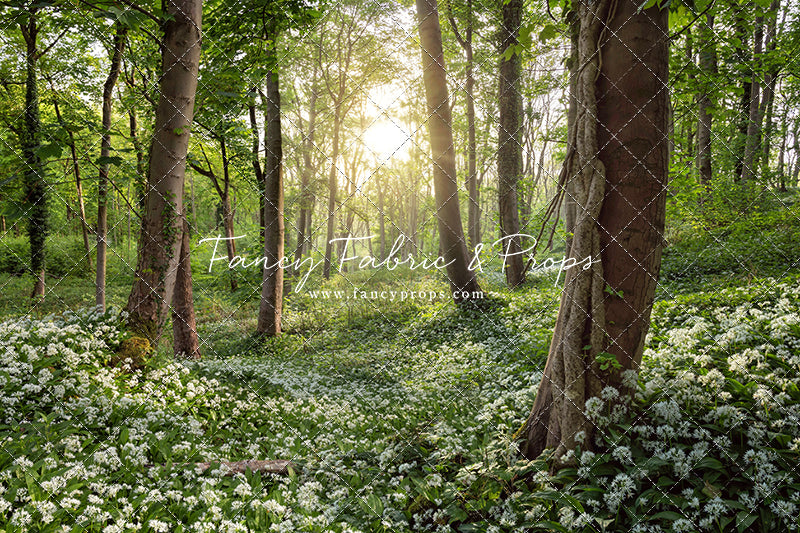 Flowering Forest White Meadow