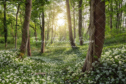 Flowering Forest White Meadow