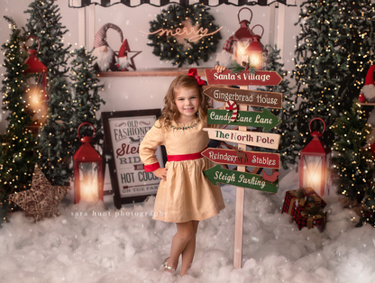 Sleigh Rides For Sale