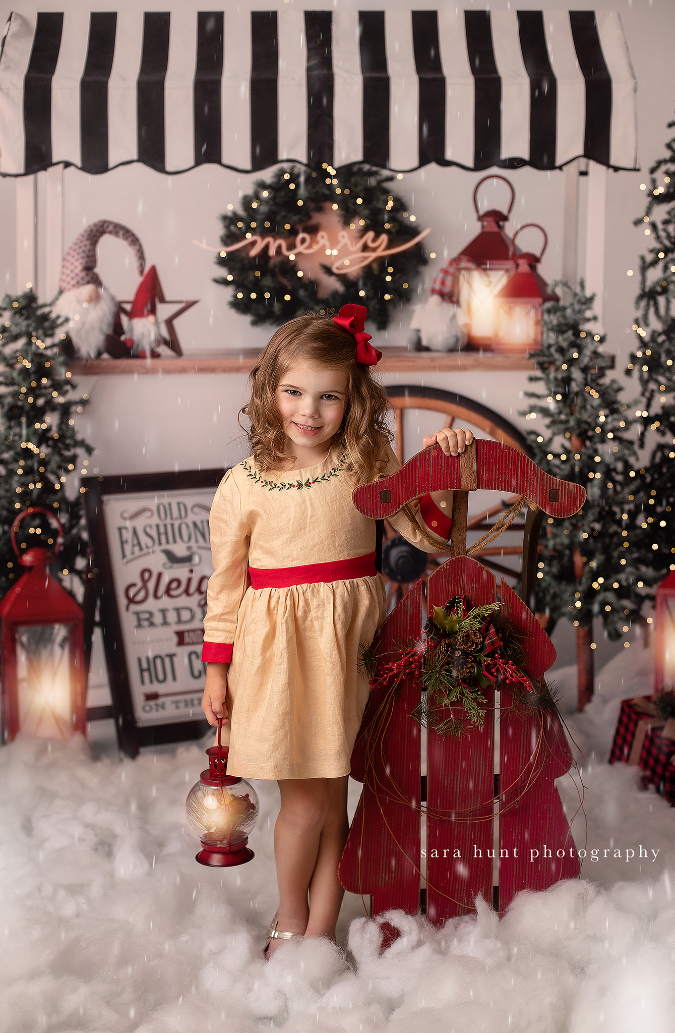 Sleigh Rides For Sale