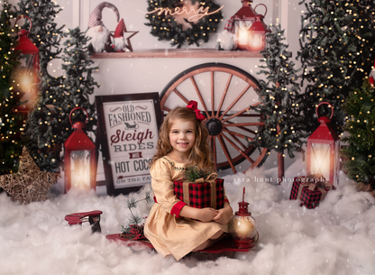 Sleigh Rides For Sale