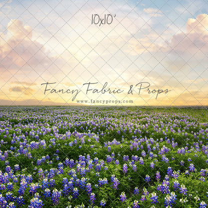 Blue Bonnet Sunrise - With Sweep Option