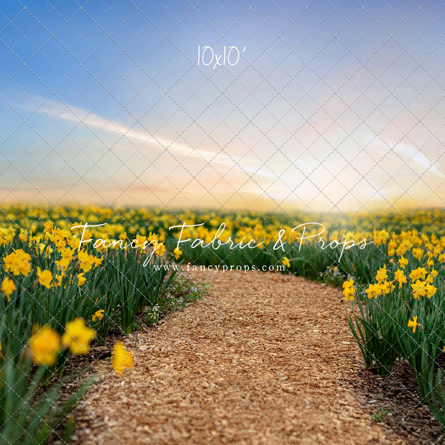 Daffodil Path
