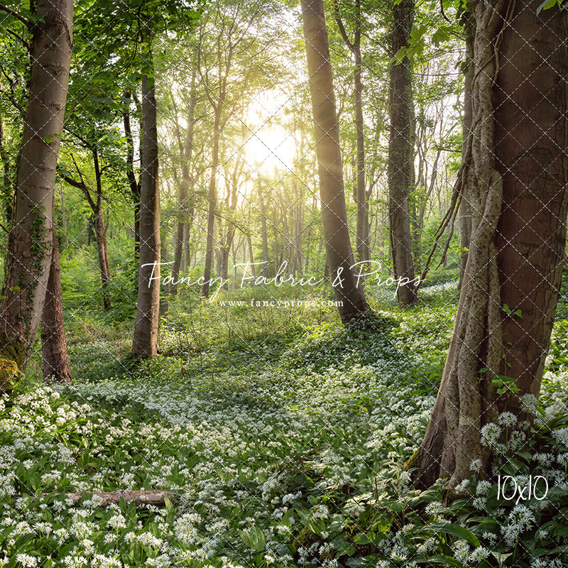 Flowering Forest White Meadow