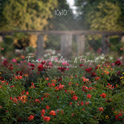 Flowers Under The Bridge