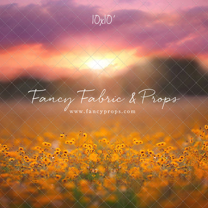 Golden Hour Wildflowers