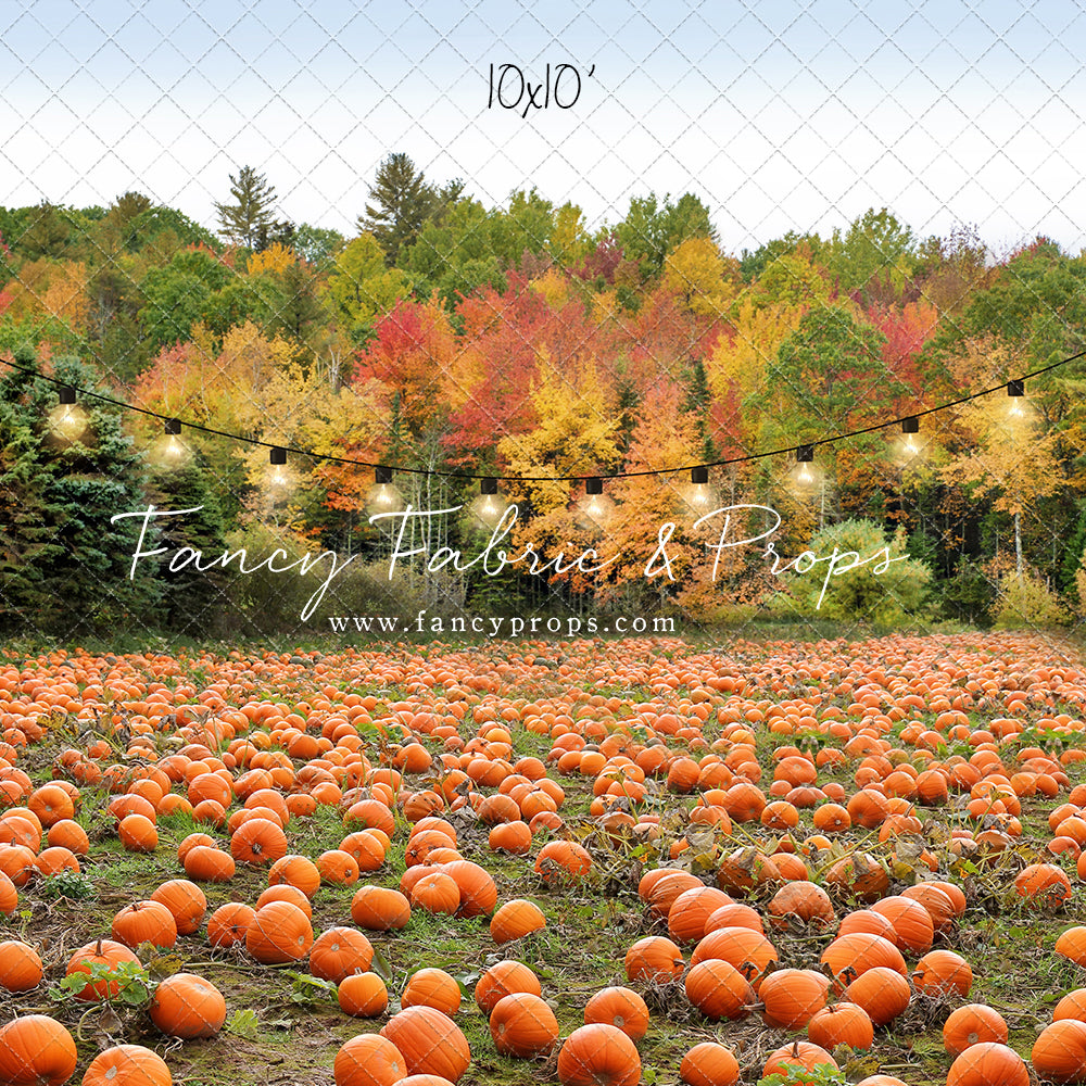 It's Pumpkin Pickin' Time