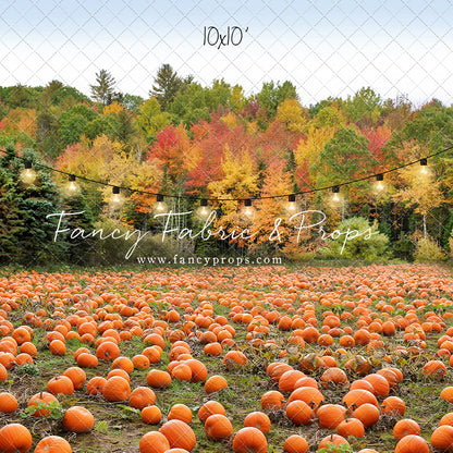 It's Pumpkin Pickin' Time